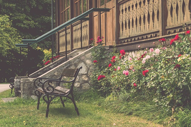 来理解肌肉 来理解肌肉