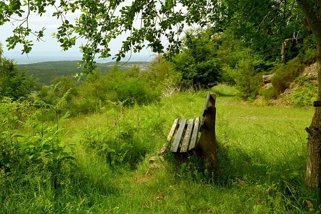 统的改善 统的改善