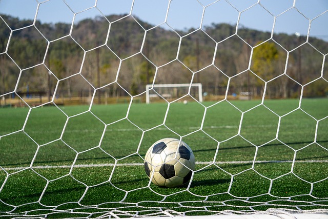 取了稳健的 取了稳健的