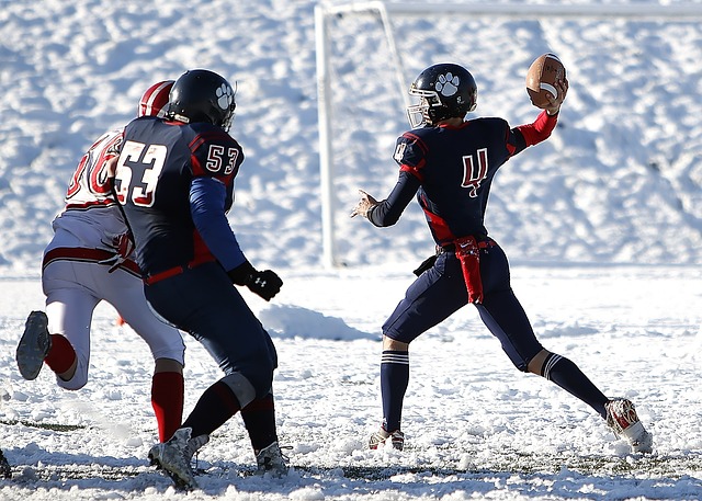 统及高官因 统及高官因