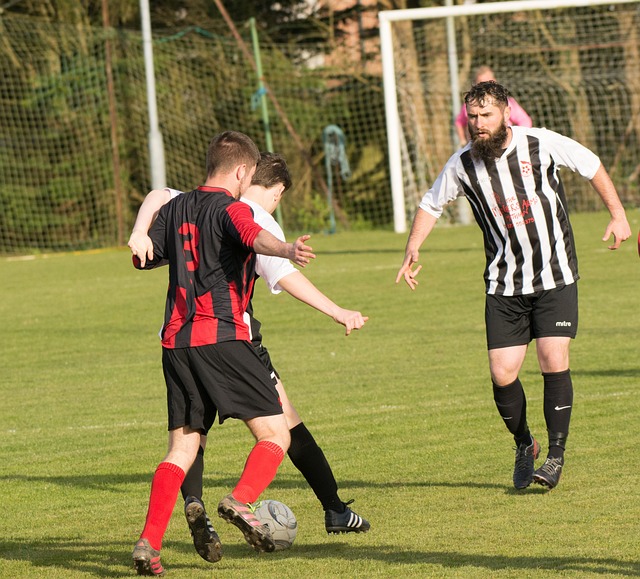 现不仅仅证 现不仅仅证